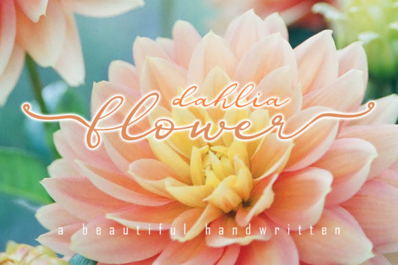 Dahlia Flower: A Romantic Script Font for Editorial Design