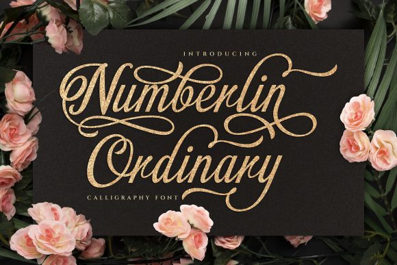 Numberlin Ordinary: A Delicate Script Font for Creative Branding