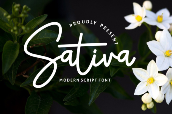 Sativa: A Versatile Script Font for Creative Web Design